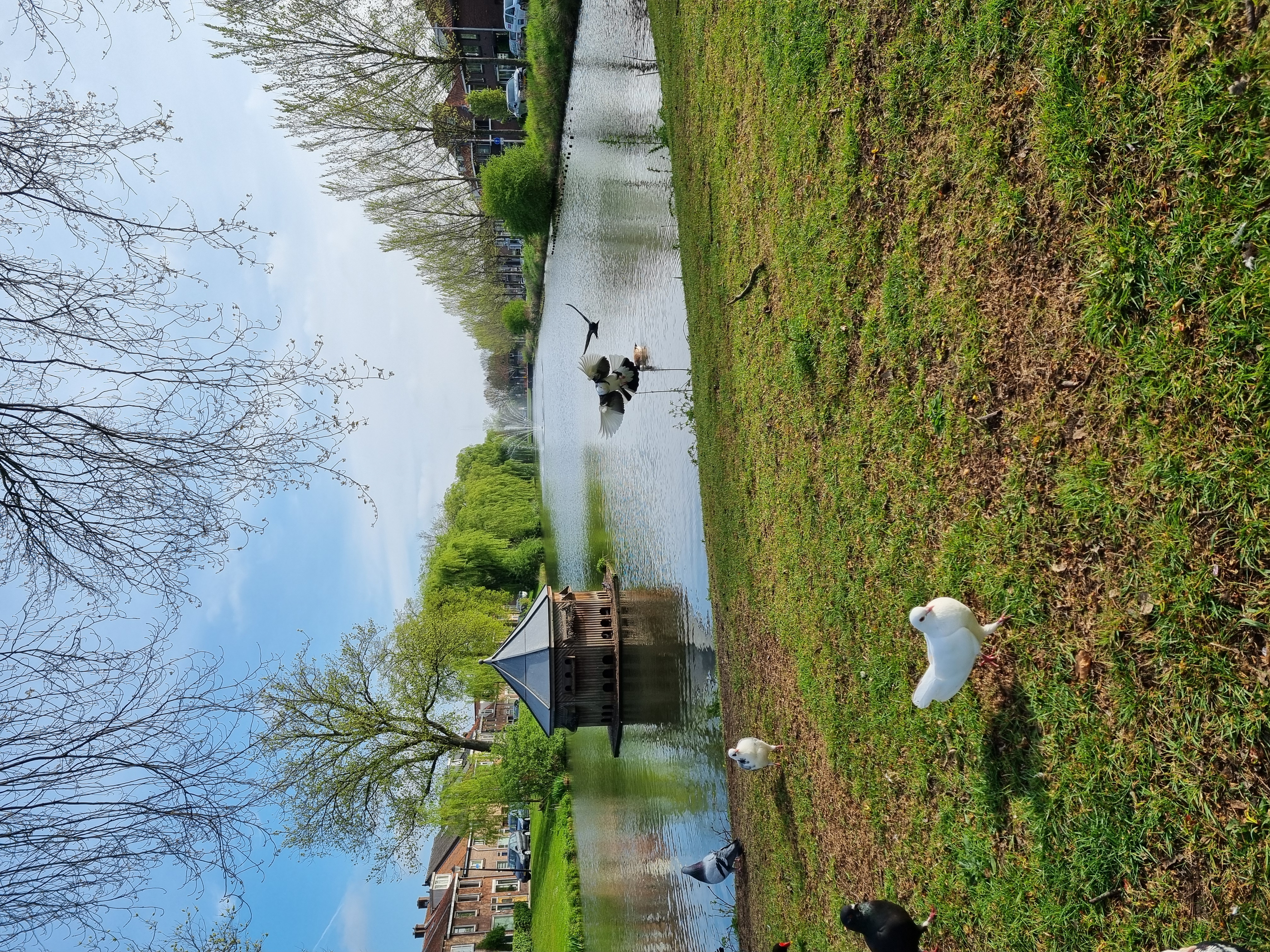 Culemborg 18